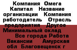 Компания «Омега Капитал › Название организации ­ Компания-работодатель › Отрасль предприятия ­ Другое › Минимальный оклад ­ 40 000 - Все города Работа » Вакансии   . Амурская обл.,Благовещенск г.